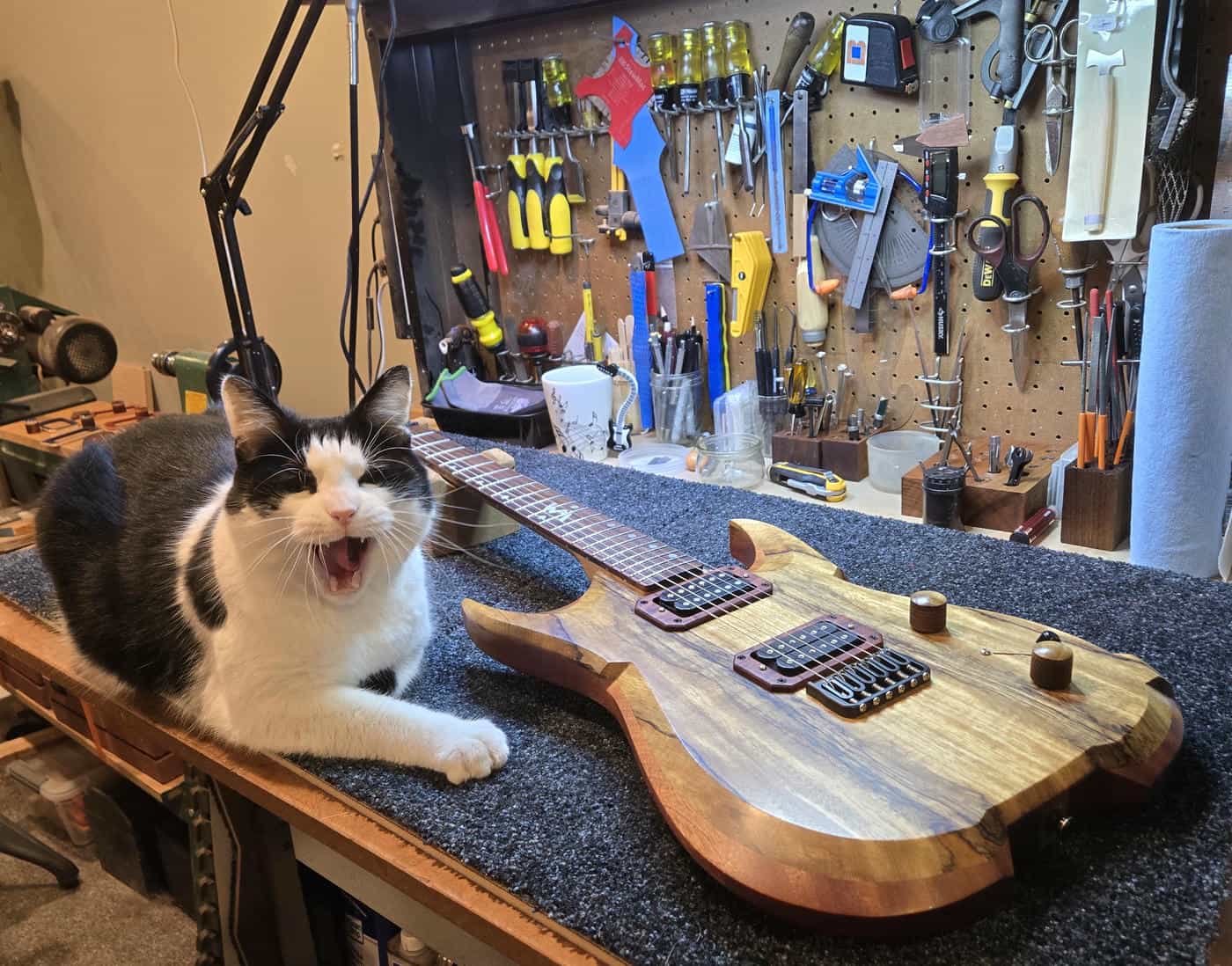 Workbench Carnage inspecting_compressed